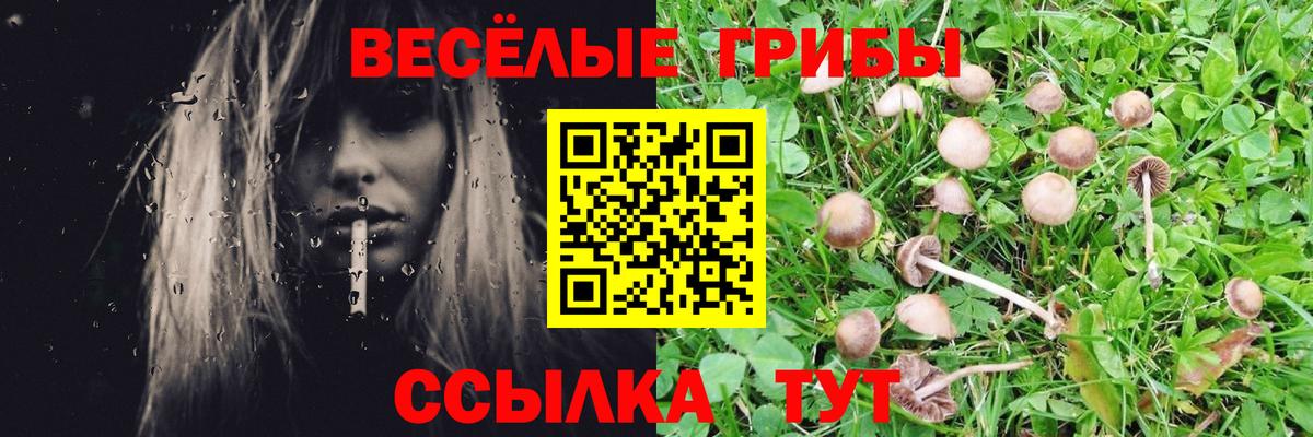 Галлюциногенные грибы мицелий Богородск